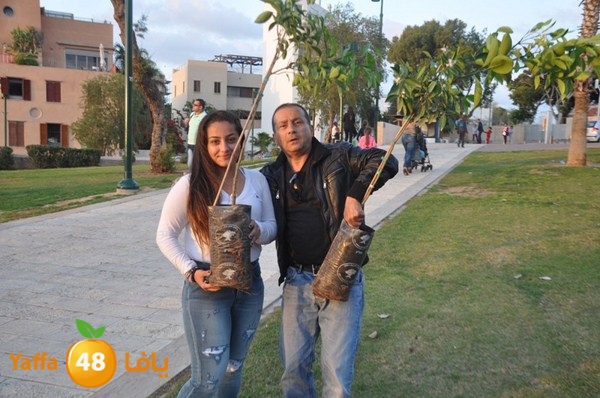 trees yaffa jamhairea (40).JPG